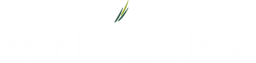 Meristem Logo