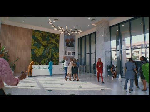 Meristem team members greeting each other in the office lobby
